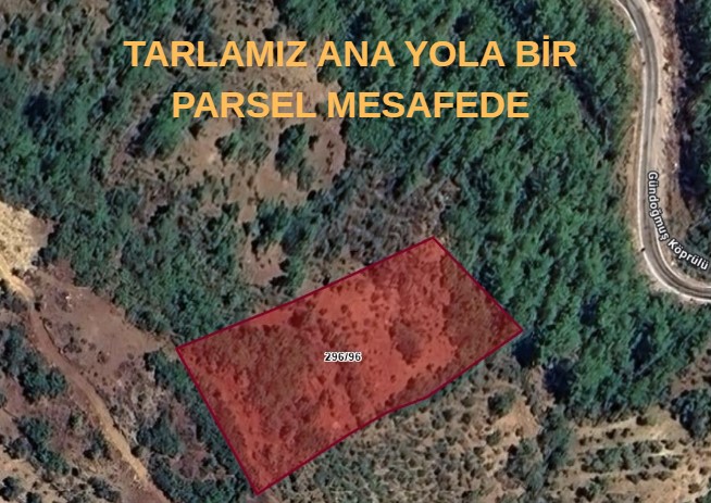 ANTALYA GÜNDOĞMUŞ ESKİBAĞ KÖYÜNDE 3.822 M² BAHÇEMİZ SATILIKTIR. - ANTALYA GÜNDOĞMUŞ fotoğraf 4